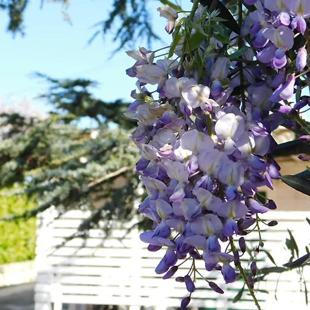 Villa Bloom - Panoramic Saltwater Pool & Trullo
