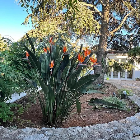 Bloom - Panoramic Saltwater Pool & Trullo * Ostuni